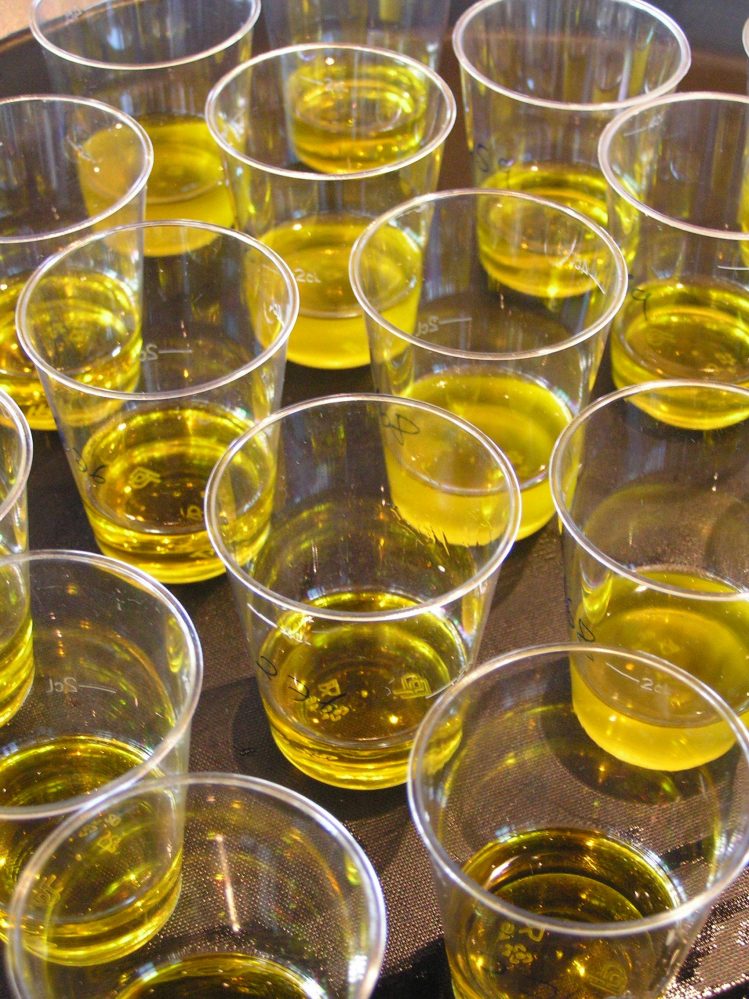 L’industria dell’olio da olive in Italia secondo Mediobanca