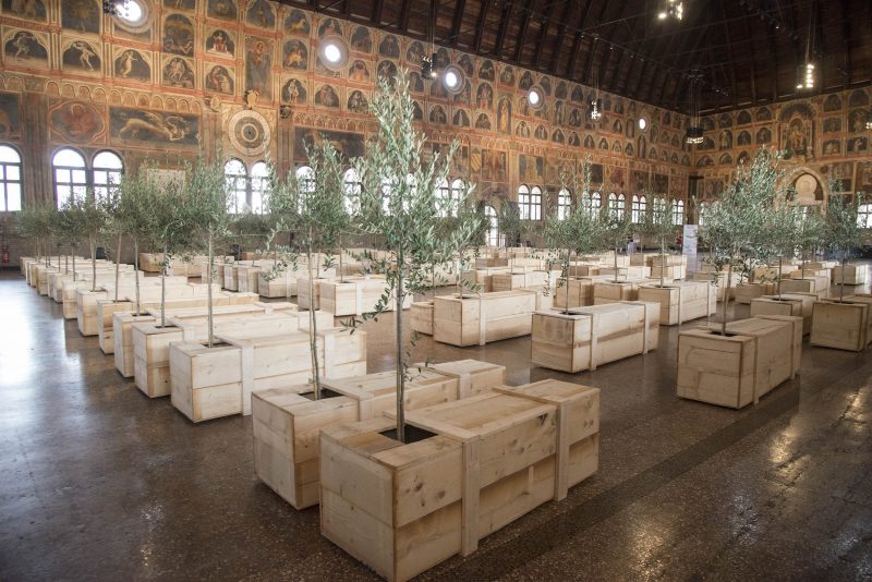 Ex It, installazione site-specific di Yoko Ono con al centro gli ulivi