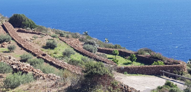 L’olio e il mare. Il grande spettacolo di Pantelleria